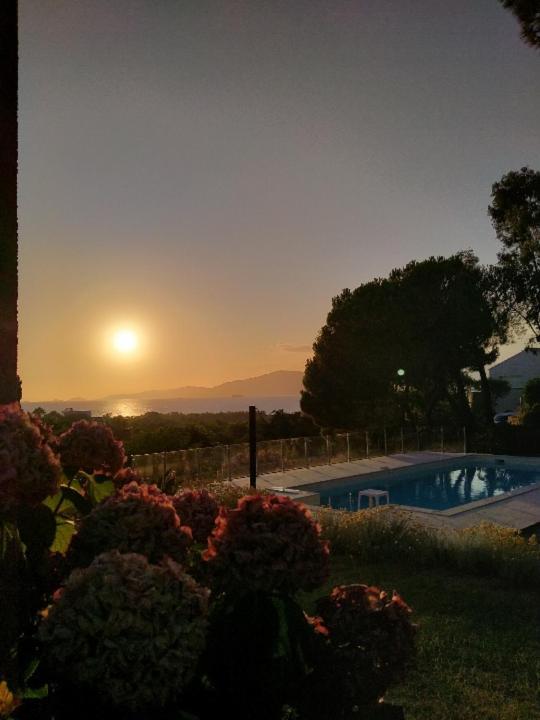 Corsicadream Arone Superbe Appartement Dans Villa, Vue Panoramique Mer, Piscine, Proche Porticcio Pietrosella Eksteriør billede